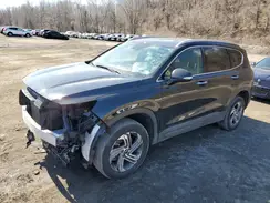5NMS2DAJ7PH486480 2023 HYUNDAI SANTA FE