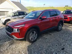 5NMS2DAJ7PH568225 2023 HYUNDAI SANTA FE