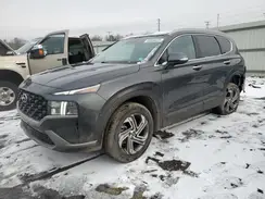 5NMS2DAJ7PH612286 2023 HYUNDAI SANTA FE