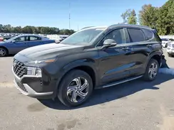 5NMS2DAJ8PH583073 2023 HYUNDAI SANTA FE