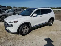 5NMS34AJ0PH527318 2023 HYUNDAI SANTA FE