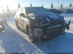 5NMS3CAA8LH266847 2020 HYUNDAI SANTA FE
