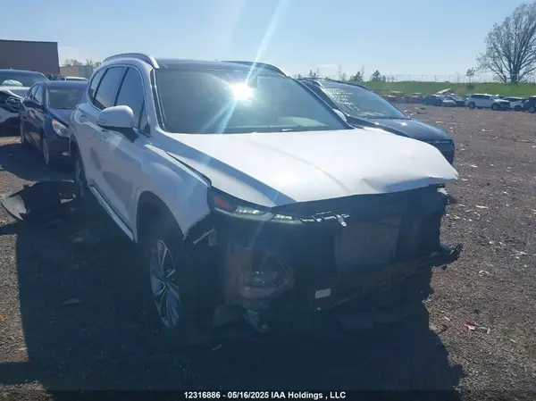 5NMS3CAA9KH091703 2019 HYUNDAI SANTA FE - Image 1