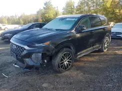 5NMS3CAD1KH121982 2019 HYUNDAI SANTA FE