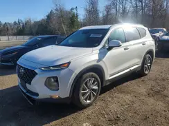 5NMS3CAD5KH038281 2019 HYUNDAI SANTA FE