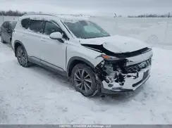 5NMS3CAD6LH255727 2020 HYUNDAI SANTA FE