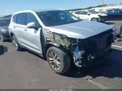 5NMS3CAD8LH174986 2020 HYUNDAI SANTA FE