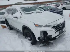 5NMS3CADXKH123164 2019 HYUNDAI SANTA FE