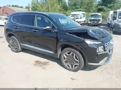 5NMS3DA16PH000450 2023 HYUNDAI SANTA FE