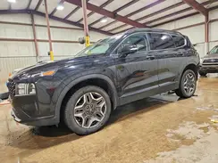 5NMS3DA18PH019498 2023 HYUNDAI SANTA FE