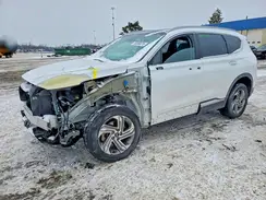 5NMS3DAJ0PH524192 2023 HYUNDAI SANTA FE