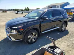 5NMS3DAJ0PH559542 2023 HYUNDAI SANTA FE