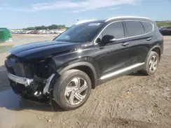 5NMS3DAJ0PH563798 2023 HYUNDAI SANTA FE