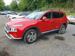 5NMS3DAJ1PH564264 2023 HYUNDAI SANTA FE