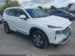5NMS3DAJ2PH572440 2023 HYUNDAI SANTA FE
