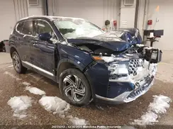 5NMS3DAJ2PH581428 2023 HYUNDAI SANTA FE