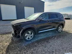 5NMS3DAJ3PH528348 2023 HYUNDAI SANTA FE