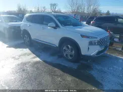 5NMS3DAJ3PH532979 2023 HYUNDAI SANTA FE