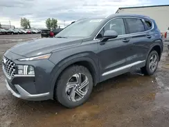 5NMS3DAJ4PH565585 2023 HYUNDAI SANTA FE