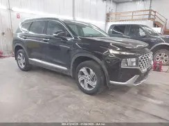 5NMS3DAJ5PH568950 2023 HYUNDAI SANTA FE