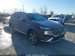 5NMS3DAJ5PH572982 2023 HYUNDAI SANTA FE