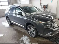 5NMS3DAJ5PH579429 2023 HYUNDAI SANTA FE