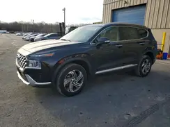 5NMS3DAJ6PH531051 2023 HYUNDAI SANTA FE