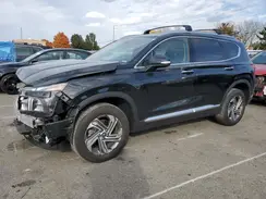 5NMS3DAJXPH590586 2023 HYUNDAI SANTA FE