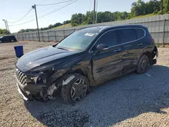 5NMS44AL0PH506113 2023 HYUNDAI SANTA FE