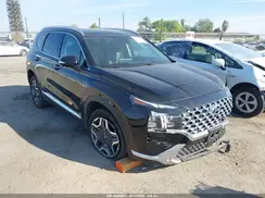 5NMS4DAL1PH559239 2023 HYUNDAI SANTA FE