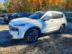 5NMS4DAL1PH630147 2023 HYUNDAI SANTA FE