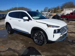 5NMS4DAL3PH598026 2023 HYUNDAI SANTA FE
