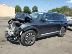 5NMS4DAL6PH557566 2023 HYUNDAI SANTA FE