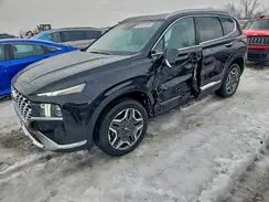 5NMS4DAL9PH598998 2023 HYUNDAI SANTA FE
