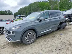 5NMS5DA12PH006949 2023 HYUNDAI SANTA FE