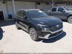 5NMS5DAL1PH488850 2023 HYUNDAI SANTA FE