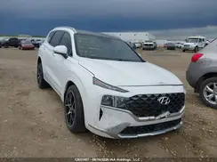 5NMS5DAL1PH535889 2023 HYUNDAI SANTA FE