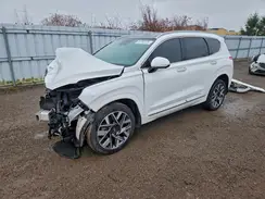 5NMS5DAL3PH525896 2023 HYUNDAI SANTA FE