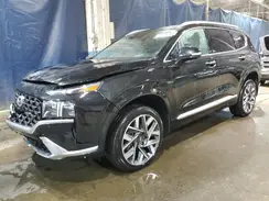 5NMS5DAL3PH545548 2023 HYUNDAI SANTA FE