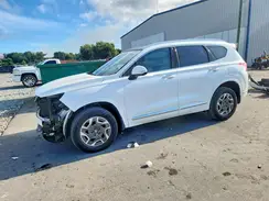 5NMS5DAL3PH558302 2023 HYUNDAI SANTA FE