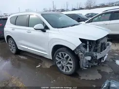 5NMS5DAL4NH384012 2022 HYUNDAI SANTA FE