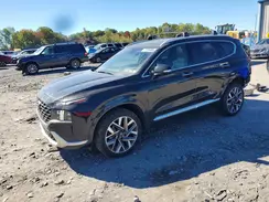 5NMS5DAL4PH521615 2023 HYUNDAI SANTA FE