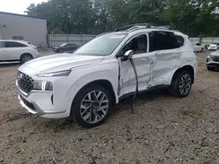 5NMS5DAL4PH644461 2023 HYUNDAI SANTA FE