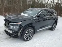 5NMS5DAL9PH504146 2023 HYUNDAI SANTA FE