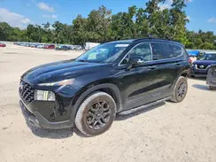 5NMS64AJ3PH499490 2023 HYUNDAI SANTA FE