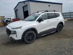 5NMS6DAJ1NH383590 2022 HYUNDAI SANTA FE