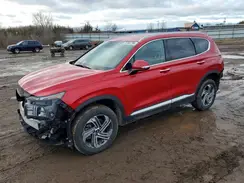 5NMS6DAJ4MH360853 2021 HYUNDAI SANTA FE