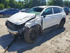 5NMS6DAJ8PH497542 2023 HYUNDAI SANTA FE