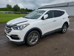 5NMZT3LB1HH026244 2017 HYUNDAI SANTA FE