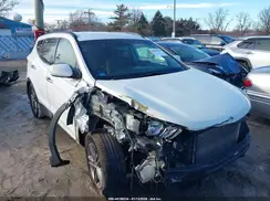 5NMZU3LB1HH006881 2017 HYUNDAI SANTA FE